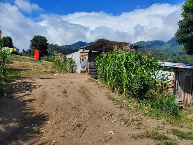 Se vende 10 hectáreas. Boquete los Naranjos  16.00 mt2 - Imagen 20