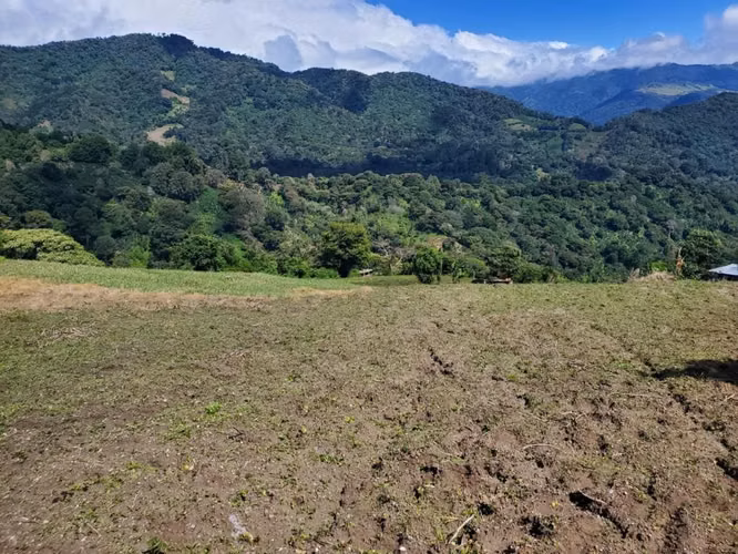 Se vende 10 hectáreas. Boquete los Naranjos  16.00 mt2 - Imagen 1