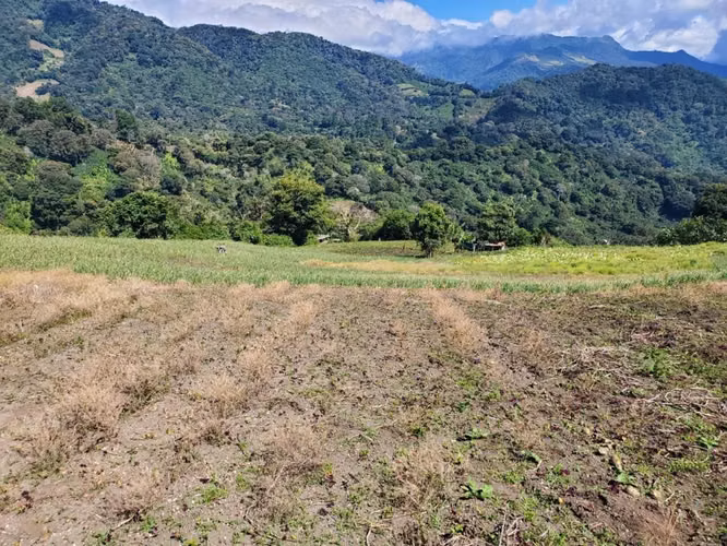 Se vende 10 hectáreas. Boquete los Naranjos  16.00 mt2 - Imagen 4