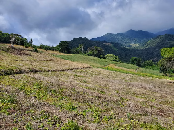 Se vende 10 hectáreas. Boquete los Naranjos  16.00 mt2 - Imagen 7