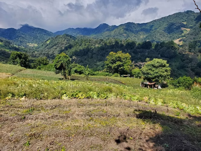 Se vende 10 hectáreas. Boquete los Naranjos  16.00 mt2 - Imagen 9