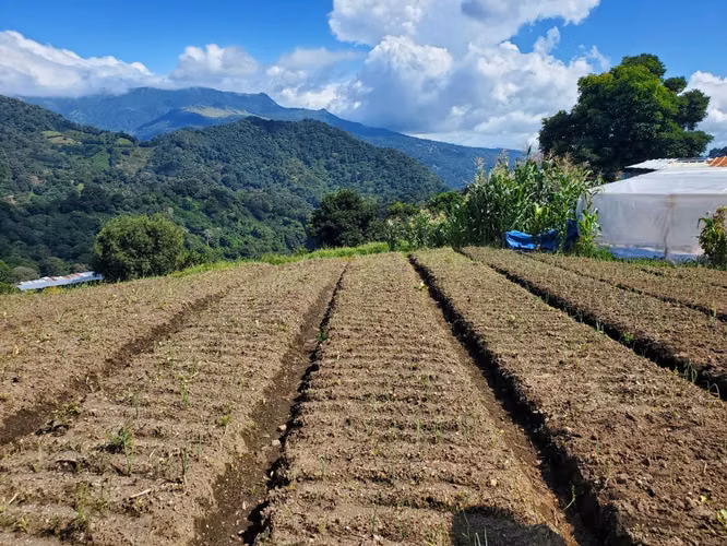 Se vende 10 hectáreas. Boquete los Naranjos  16.00 mt2 - Imagen 13