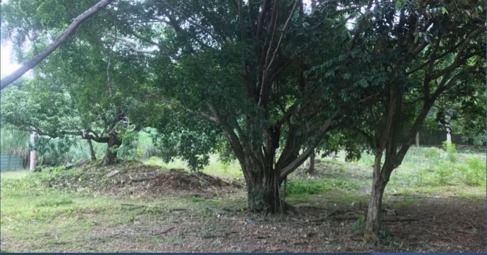 Vendo Terreno en Albrook OF26-3797
