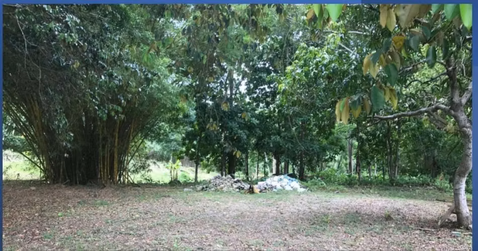 Vendo Terreno en Albrook OF26-3797