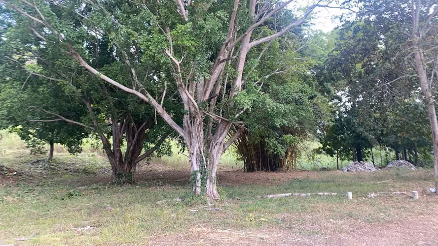 Vendo Terreno en Albrook OF26-3797