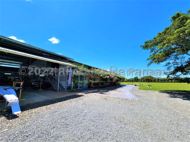 Vendo Granja Avicola en Nata OF26-4519