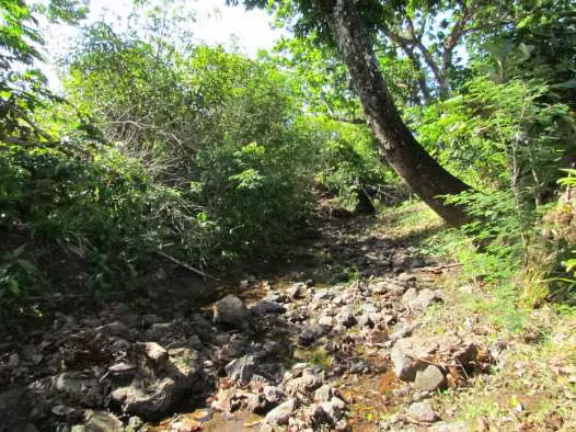 Terreno / Finca de 46.2 Hectáreas en La Coloradita, Veraguas | Con Casa y Lago