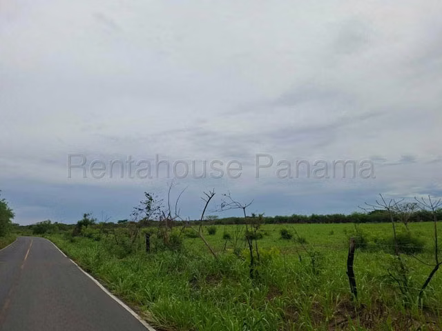 Terreno en Venta en Buenaventura YM