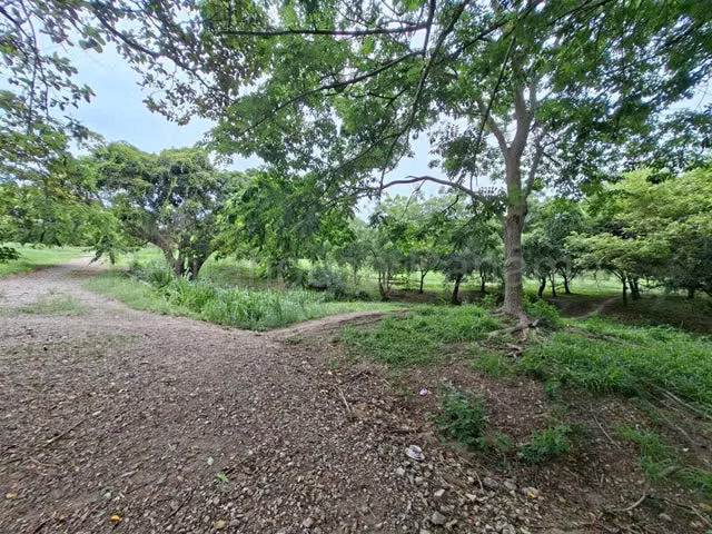 Terreno en Venta en Buenaventura YM