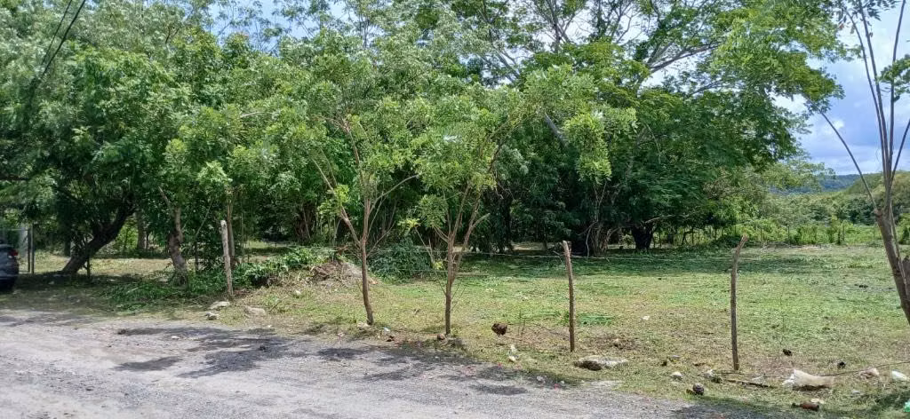 Terreno de 1,000 m² en Playa Malibú, Gorgona – Segunda Línea de Playa – Excelente Inversión