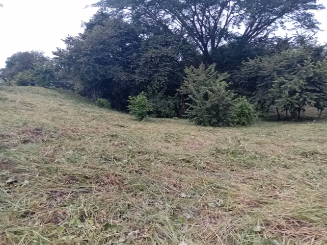 VENTA DE TERRENO EN SAN CARLOS PUNTA BARCO VIEJO