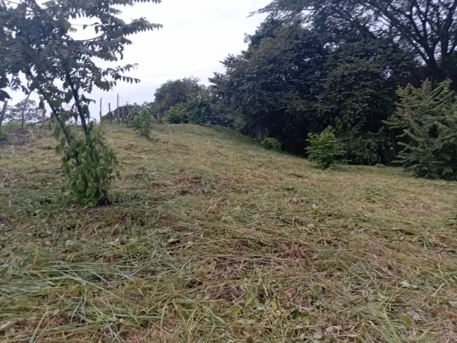 VENTA DE TERRENO EN SAN CARLOS PUNTA BARCO VIEJO