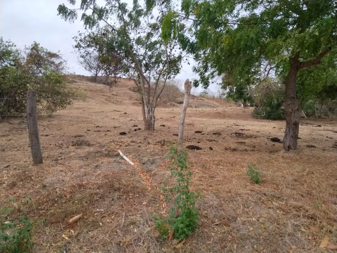SALE OF LAND IN THE THREE BROKEN SAINTS