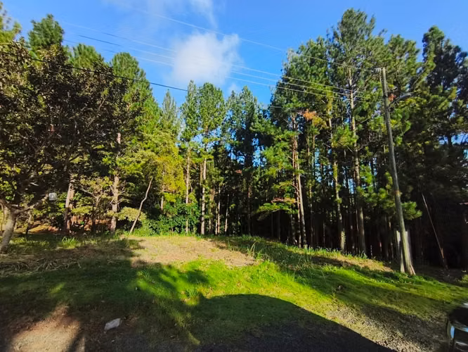 Lote en Venta en Valle de la Toscana, Altos del María