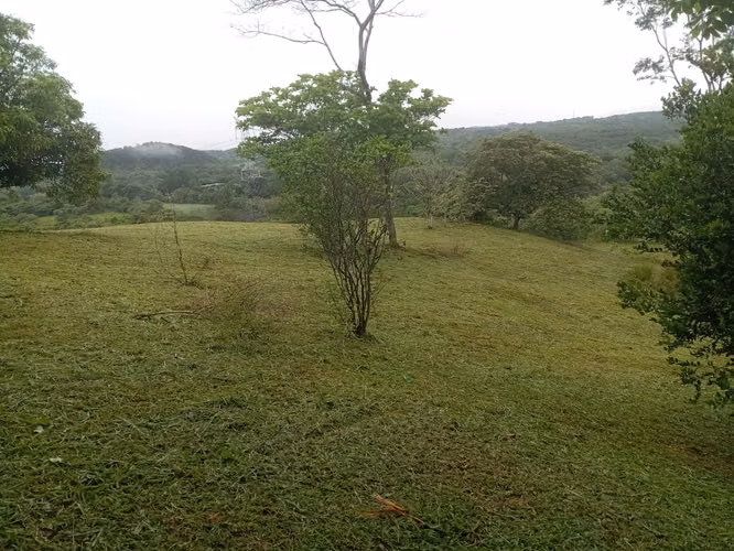 OFERTA-LA CHORRERA- POTRERO GRANDE, SE VENDE PROPIEDAD TITULADA, 10000 METROS - Imagen 4