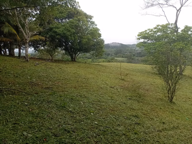 OFERTA-LA CHORRERA- POTRERO GRANDE, SE VENDE PROPIEDAD TITULADA, 10000 METROS - Imagen 9