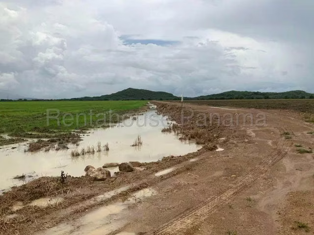 Venta de Terreno en Colón