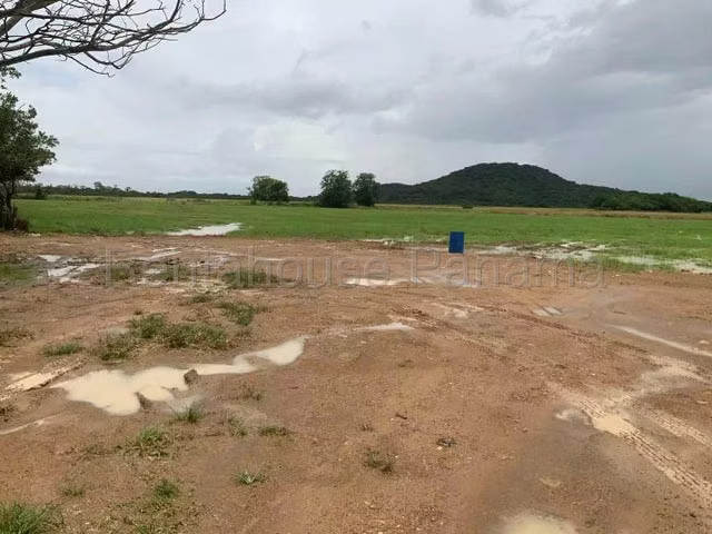 Venta de Terreno en Colón