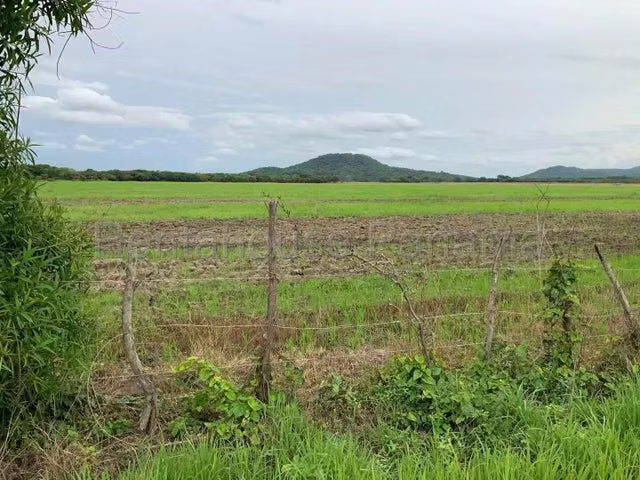 Venta de Terreno en Colón
