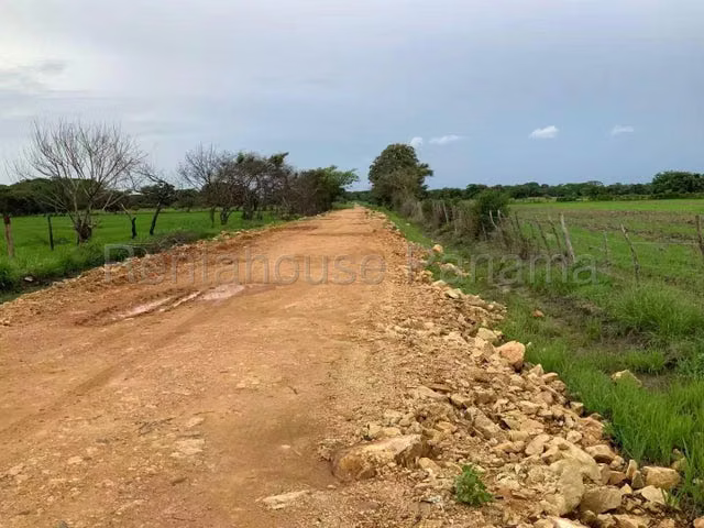 Venta de Terreno en Colón