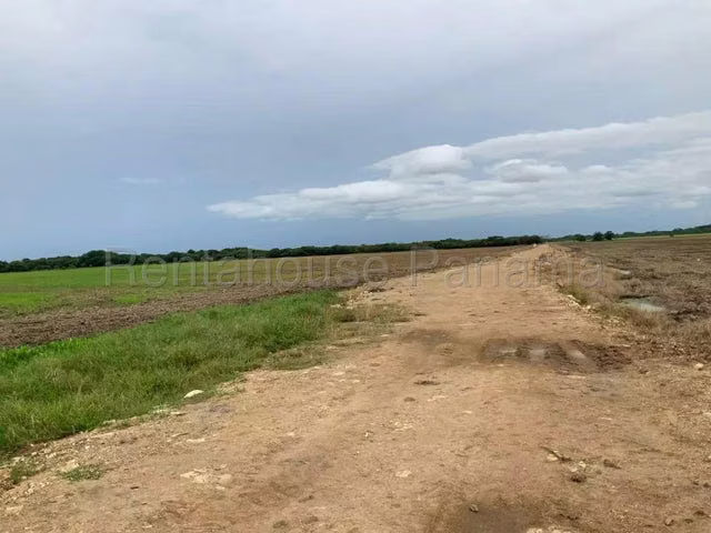 Venta de Terreno en Colón