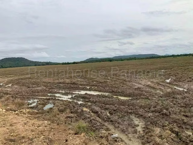 Venta de Terreno en Colón