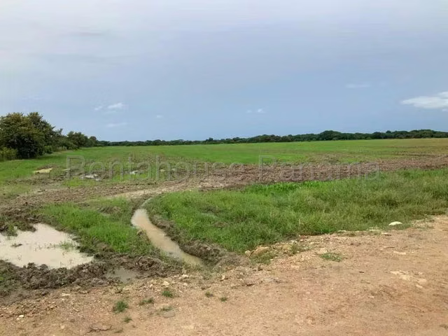 Venta de Terreno en Colón