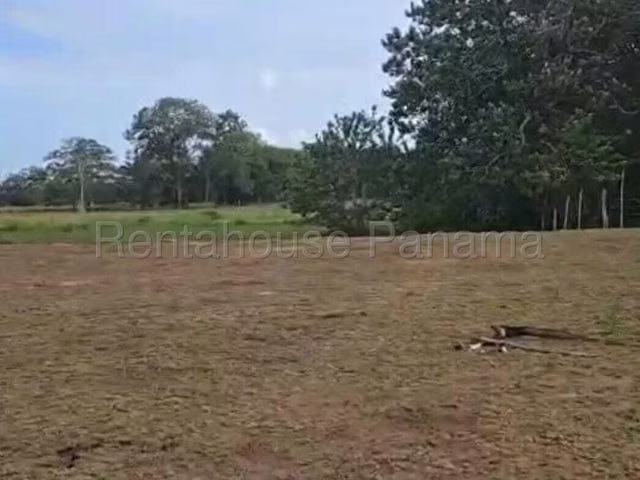 Venta de Terreno en Paso Blanco