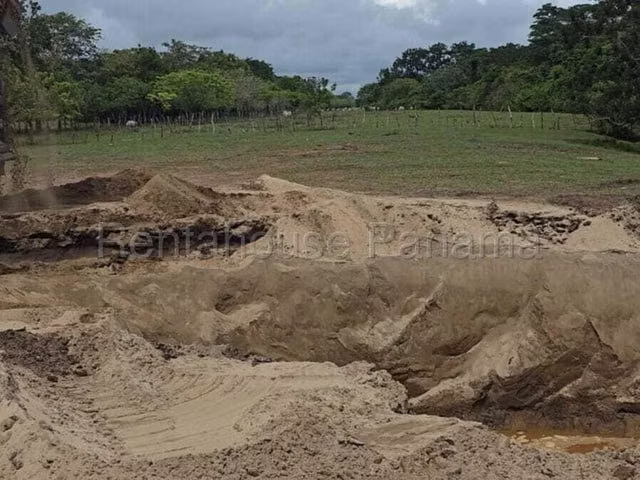 Venta de Terreno en Paso Blanco - Imagen 3