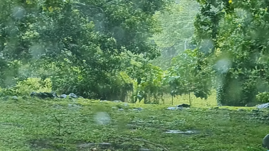 .VENDO TERRENO DE PLAYA EN NUEVA GORGONA - Imagen 3