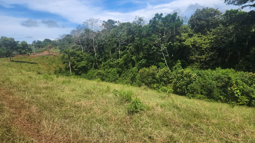 Venta de Terreno en Chorrera , Las Yayas Adentro, (7.5 hectáreas)
