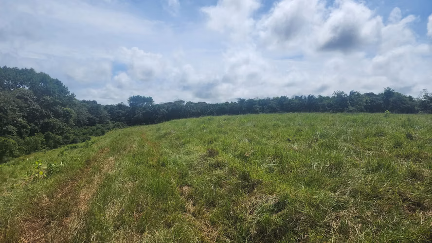 Venta de Terreno en Chorrera , Las Yayas Adentro, (7.5 hectáreas)