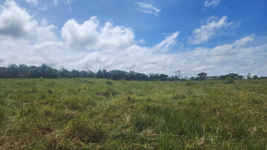 Venta de Terreno en Chorrera , Las Yayas Adentro, (7.5 hectáreas)