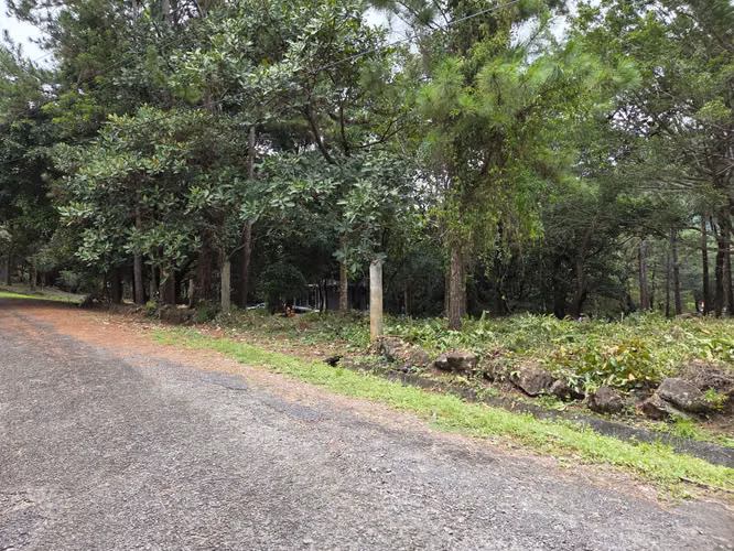 TERRENO EN ALTOS DEL MARÍA | NEGOCIABLE PRECIO - Imagen 2