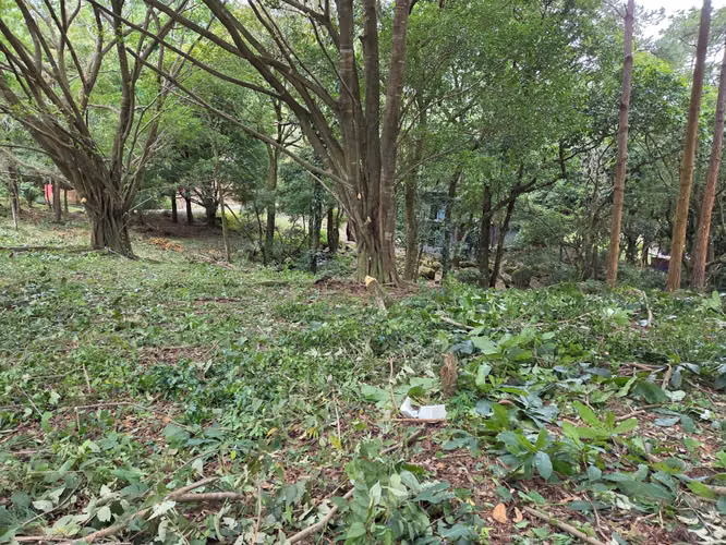 TERRENO EN ALTOS DEL MARÍA | NEGOCIABLE PRECIO - Imagen 7