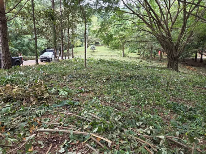 TERRENO EN ALTOS DEL MARÍA | NEGOCIABLE PRECIO - Imagen 4