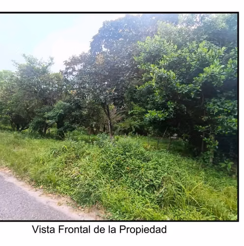 1595.25 Mts2 . TERRENO A ORILLA DE CALLE ASFALTADA