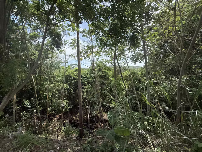 VENDO TERRENO 34.000mts ( ENTRE LA VALDEZA Y ALTOS DE LA PRADERA - Imagen 6