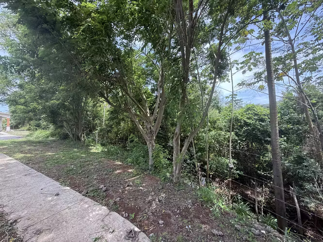 VENDO TERRENO 34.000mts ( ENTRE LA VALDEZA Y ALTOS DE LA PRADERA - Imagen 7