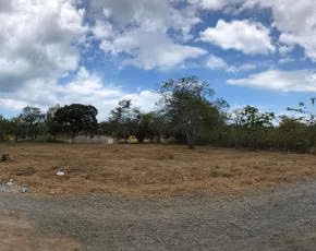 1260.50 MT2 FLAT GROUND SALE