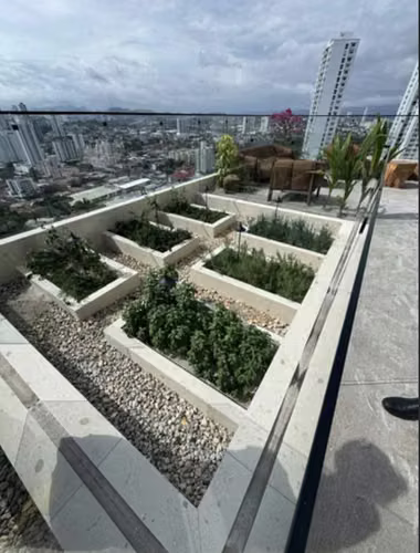 PH DOVLE alquilo apartamento de 1 recamara amoblado - Imagen 17