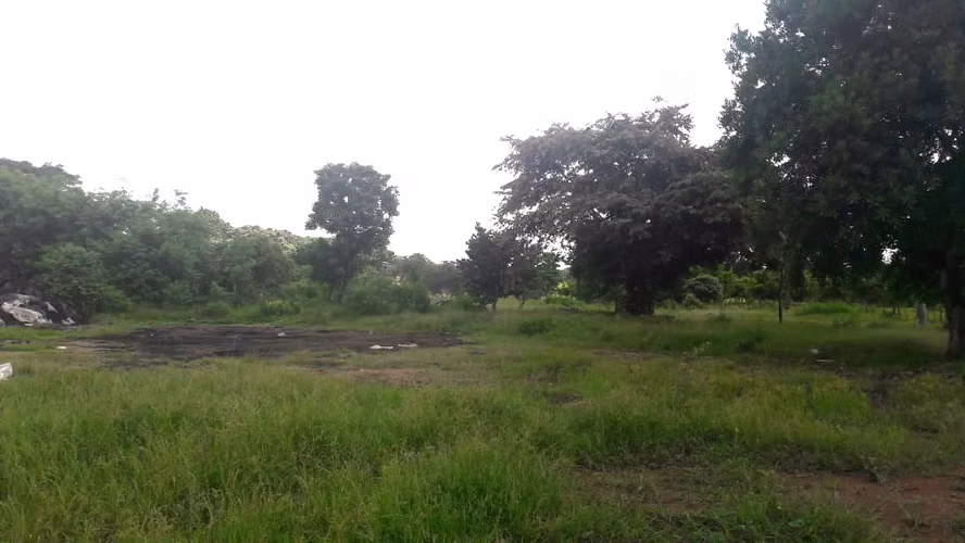 VENTA TERRENO CHORRERA - Imagen 4