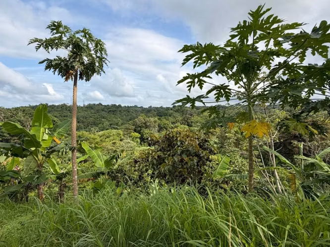 Se VENDEN FINCA DE 5 HAS 3,700 mts 2