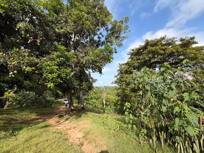Se VENDEN FINCA DE 5 HAS 3,700 mts 2