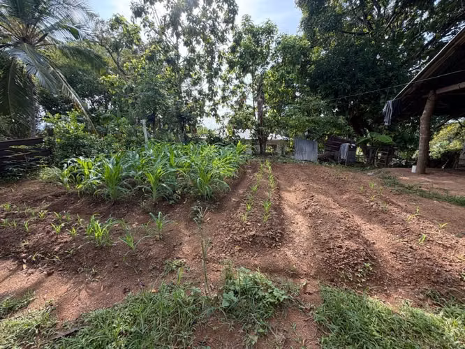 Se VENDEN FINCA DE 5 HAS 3,700 mts 2