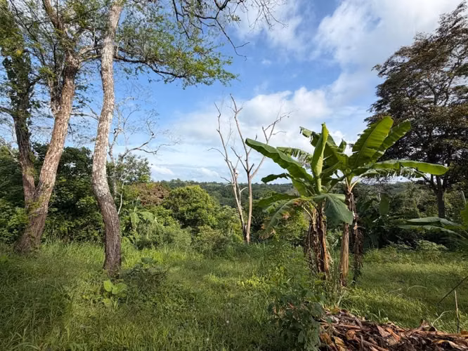 Se VENDEN FINCA DE 5 HAS 3,700 mts 2