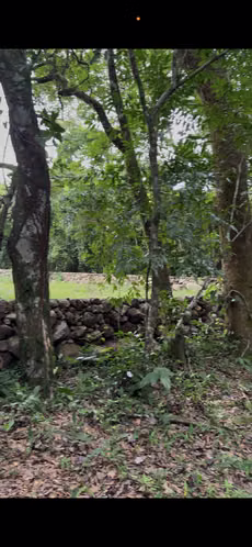 Venta de  terreno en Boquete, Chiriquí - Imagen 11