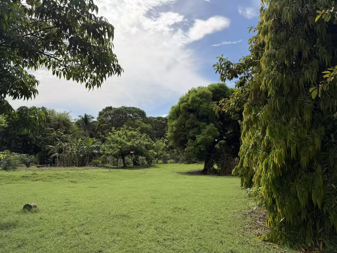 Lote de 1286 m2 cerca a entrada de CORONADO - Imagen 1