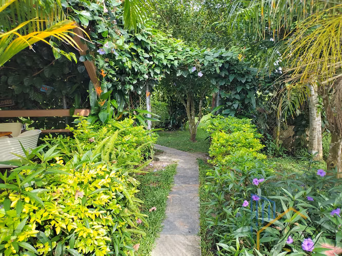 Oasis en San Carlos vía El Valle: Casa + Casita, Piscina y Jardín Frutal - Imagen 10