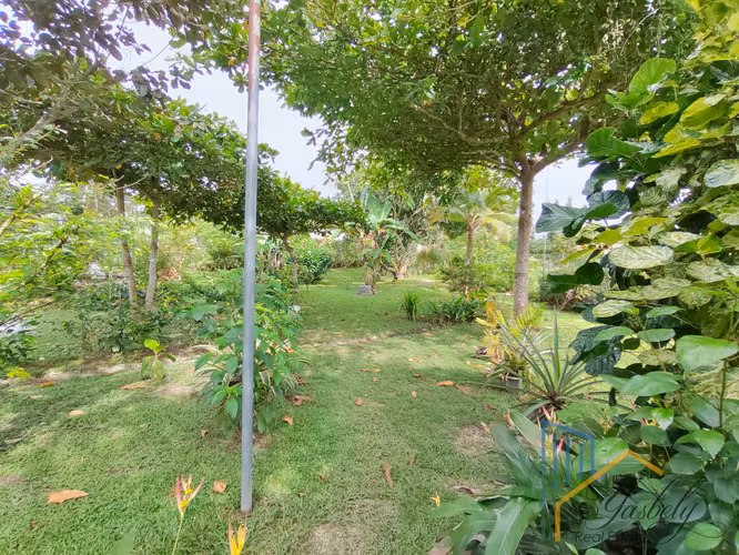 Oasis en San Carlos vía El Valle: Casa + Casita, Piscina y Jardín Frutal - Imagen 11